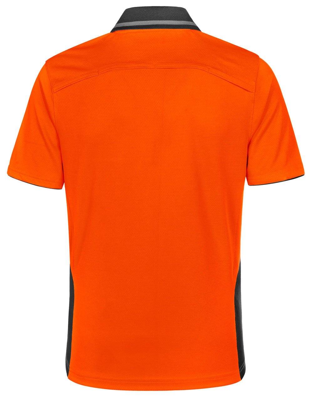 Polo in orange, back view